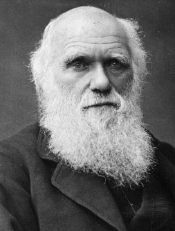 Bilbao celebra mañana el Día de Darwin
