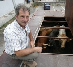 El verano es época de trajín para el ganadero.