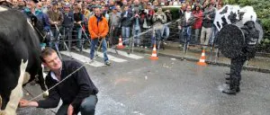 Un ganadero arremete de esta original manera contra la Policía, durante la protesta de ayer en Bruselas.