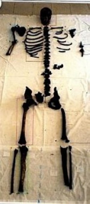 Huesos de cinco personas conformaban el esqueleto. ::
E. C.