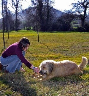 Una chica juega con su perro en Olárizu, donde ha habido varios envenanmientos. ::                             E. ARGOTE