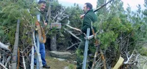 Dos cazadores aguardan el paso de las presas desde un puesto camuflado entre la vegetación. ::                             E. C.