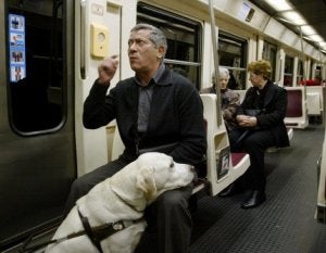 se permiten perros en los trenes de metro