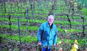 Fernando Renovales, entre viñedos en su finca de Villaverde de Trucíos. Es uno de los pocos viticultores cántabros que etiquetan su vino como 'chacolí'. ::                             MITXEL ATRIO