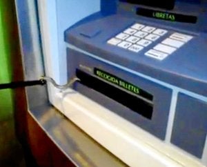 El cliente sacó los billetes pese a la aparición de la víbora. ::                         EL CORREO