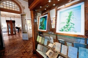 Una sala del museo. A la izquierda, fumadores de marihuana dibujados por Brower. ::                         VICENS GIMÉNEZ
