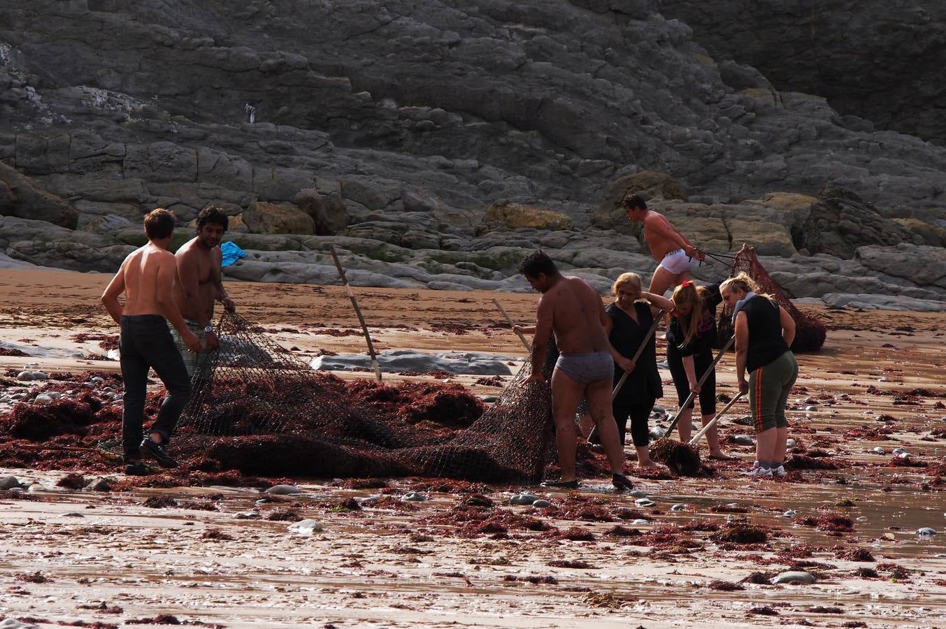 La caloca llega a las playas