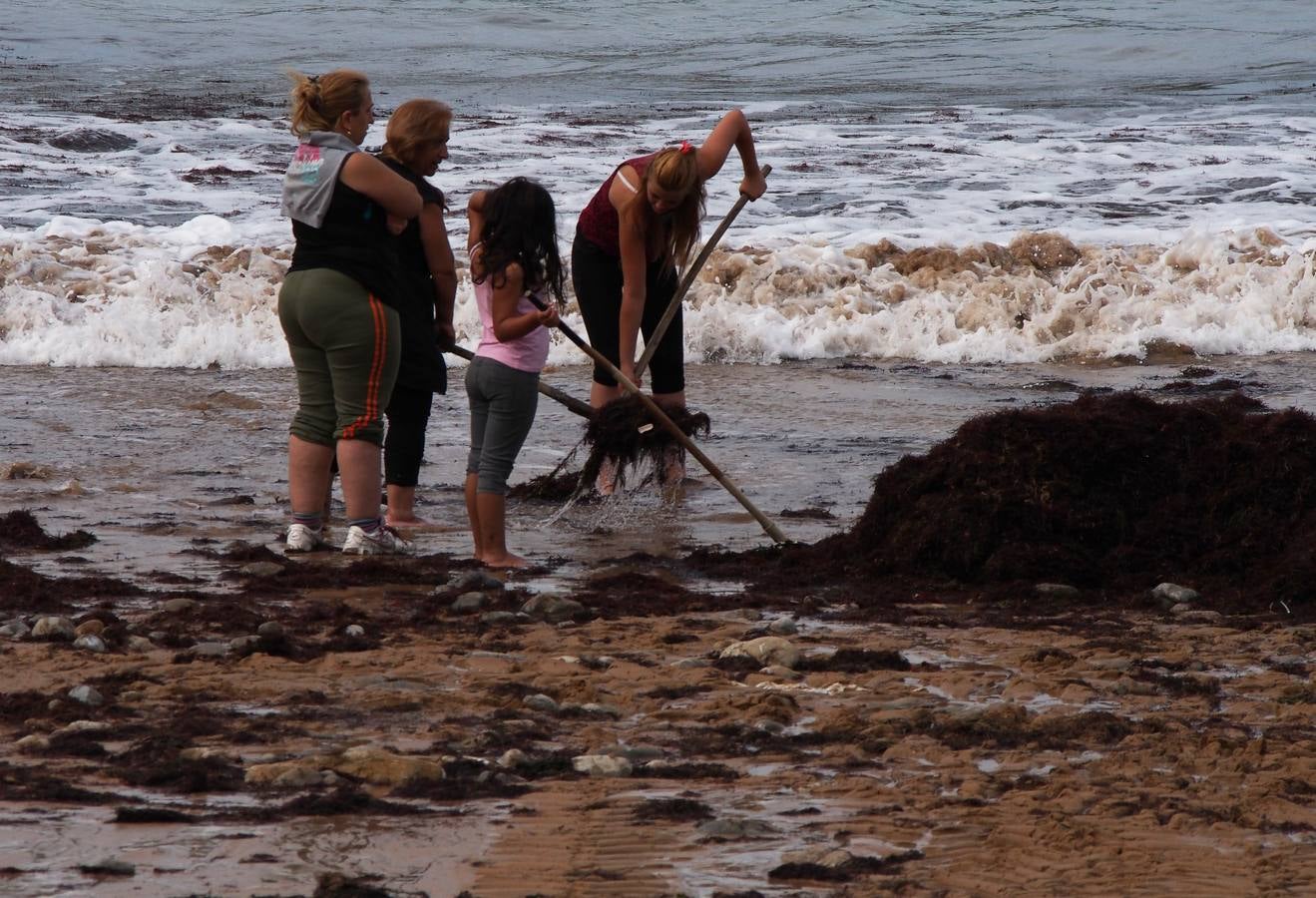 La caloca llega a las playas