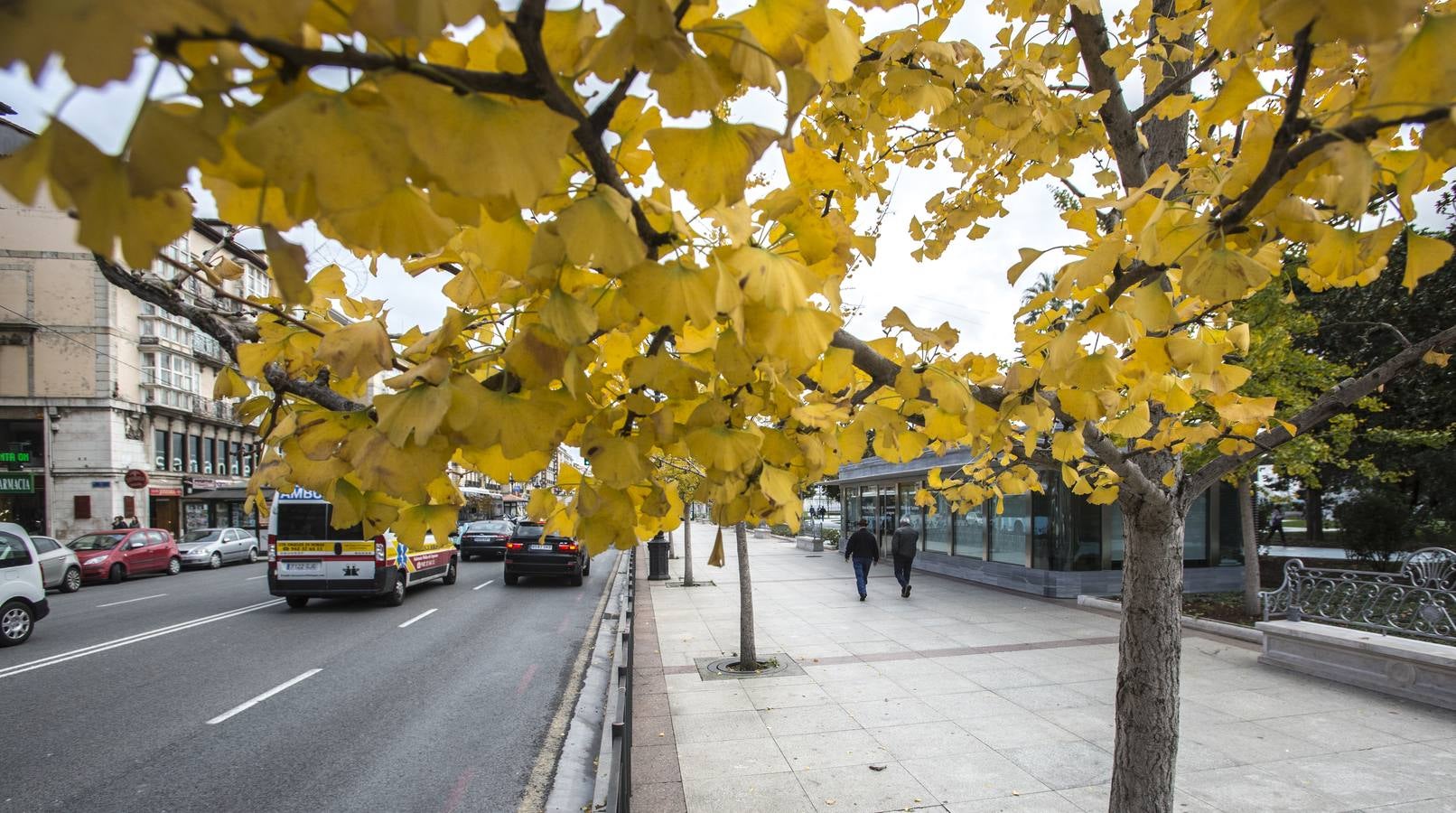 Otoño en Cantabria