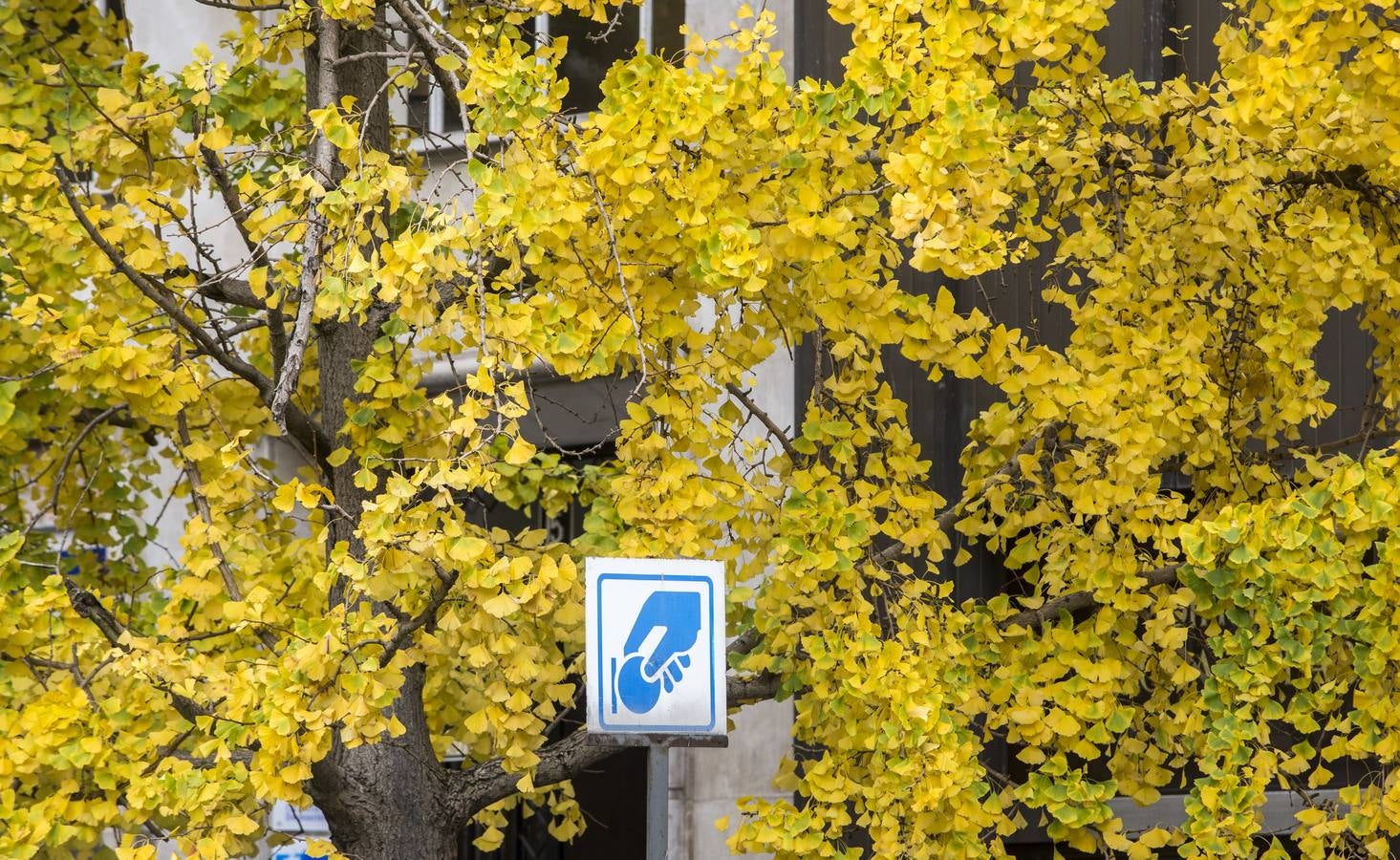Otoño en Cantabria