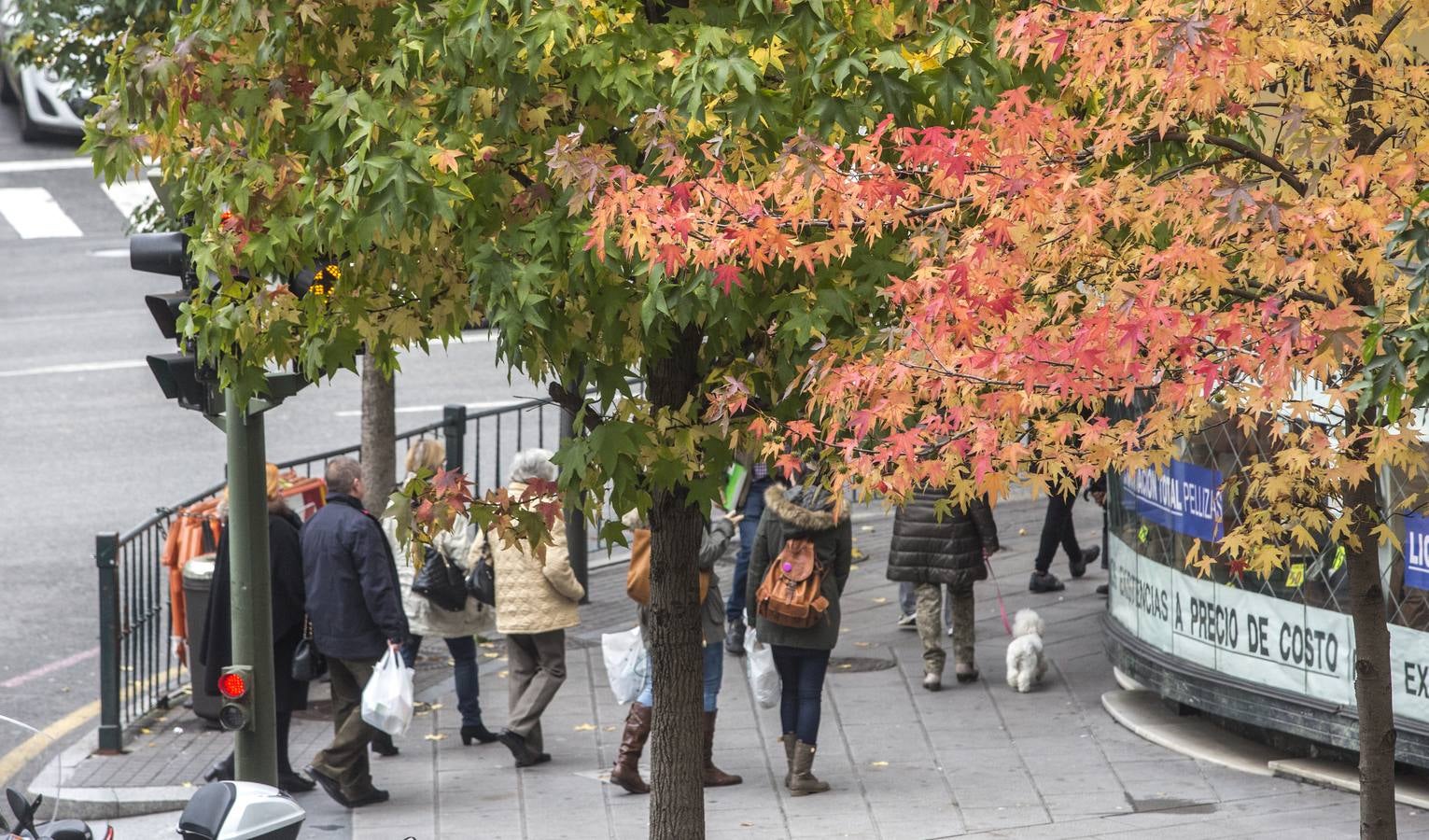 Otoño en Cantabria
