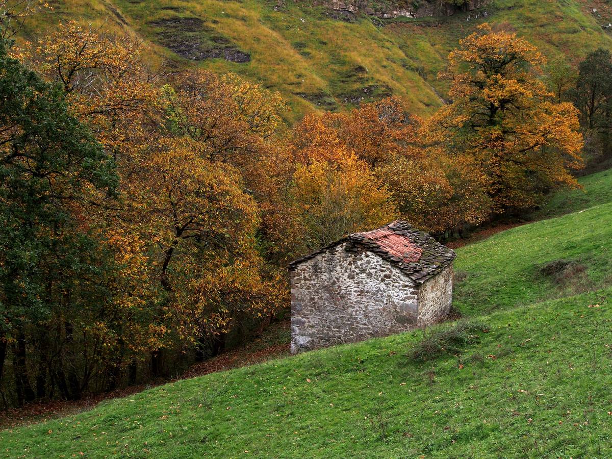 Otoño en Cantabria