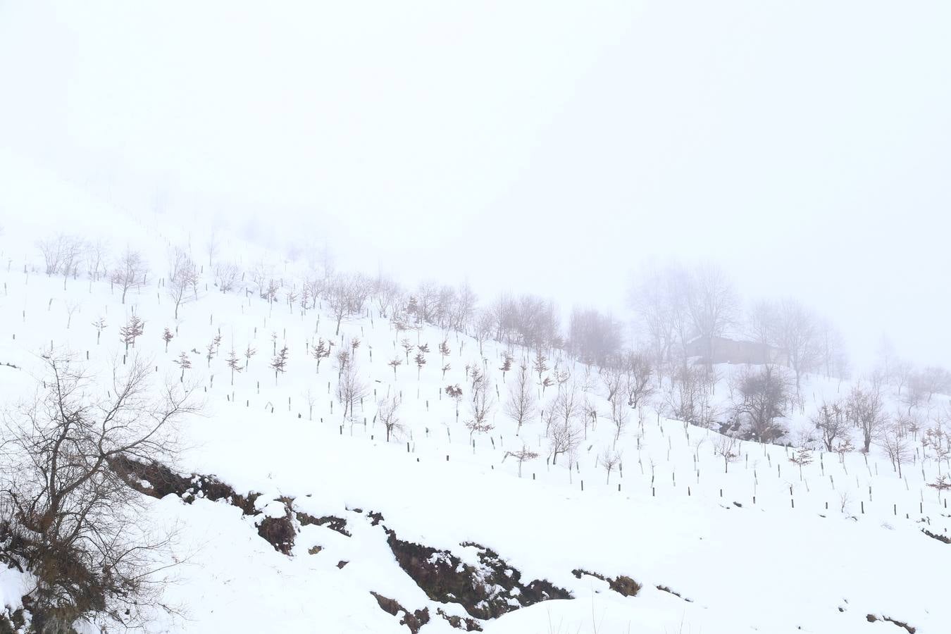 Nieve en Lunada