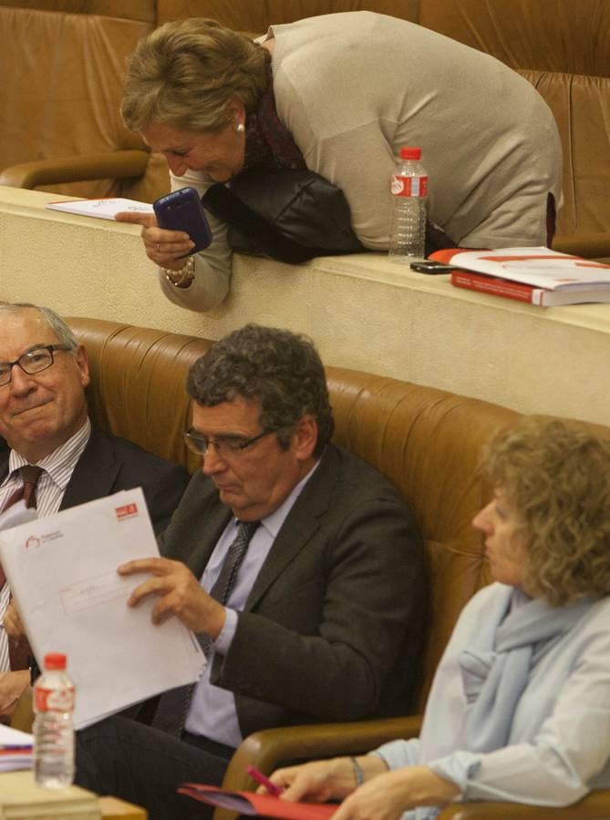 Greyco, Néstor Martín, Aguayo y los teleféricos, en el penúltimo Pleno