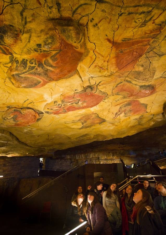 Emociones en la neocueva