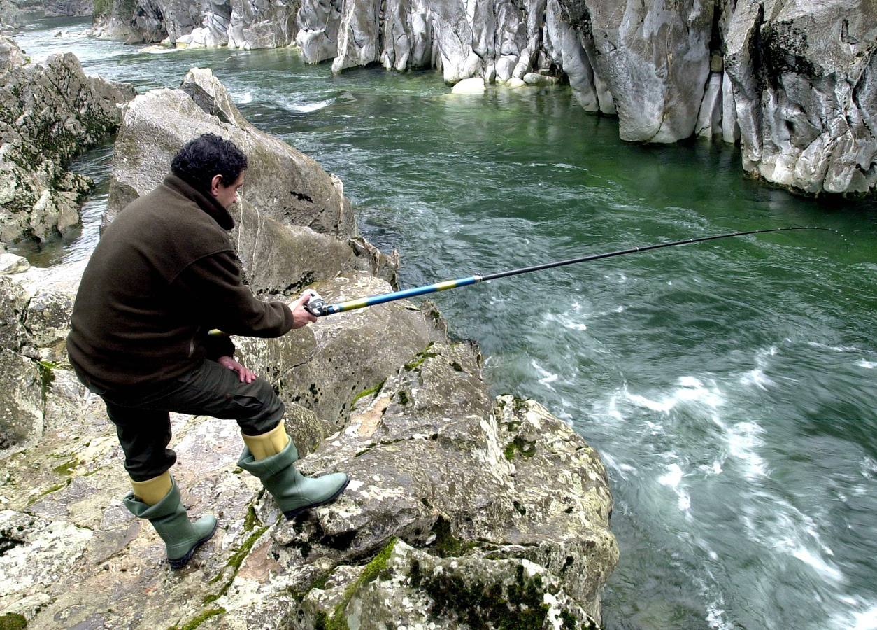 Pesca de salmón en el río Pas