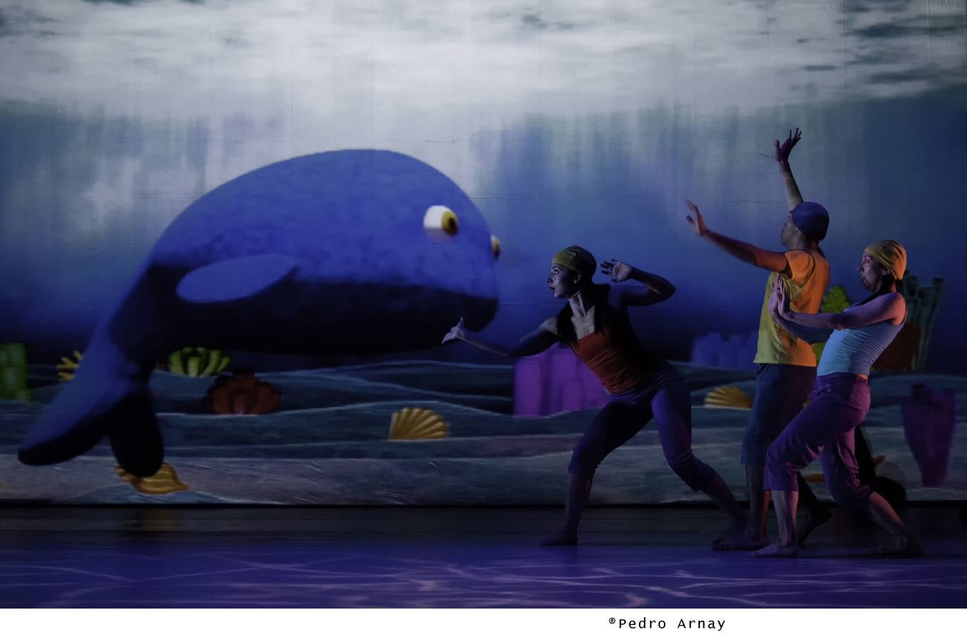 Escena de 'Ballenas, historias de gigantes'.