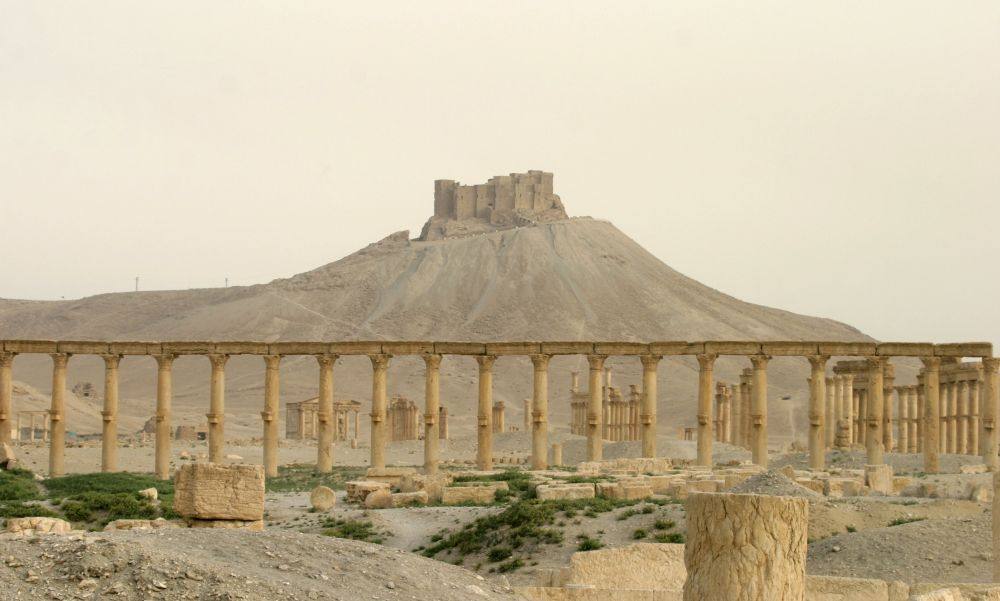 Palmira, la historia destruida