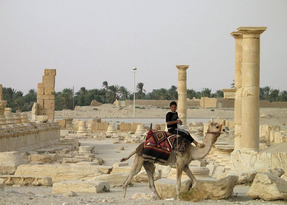 Palmira, la historia destruida
