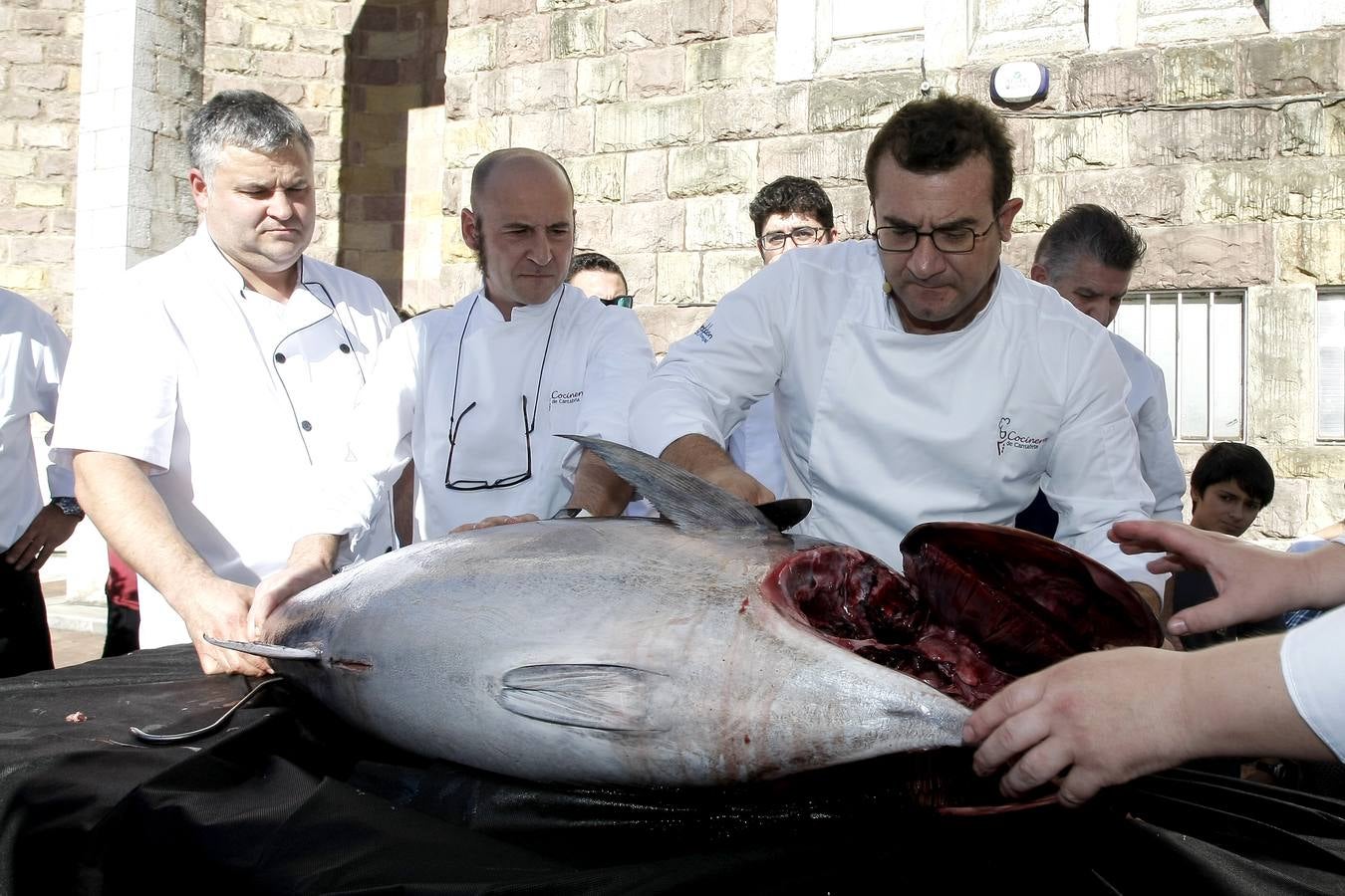 Ronqueo de atún en Torrelavega