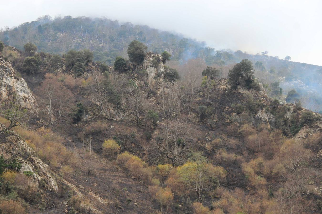 Controlados los incendios en Liébana