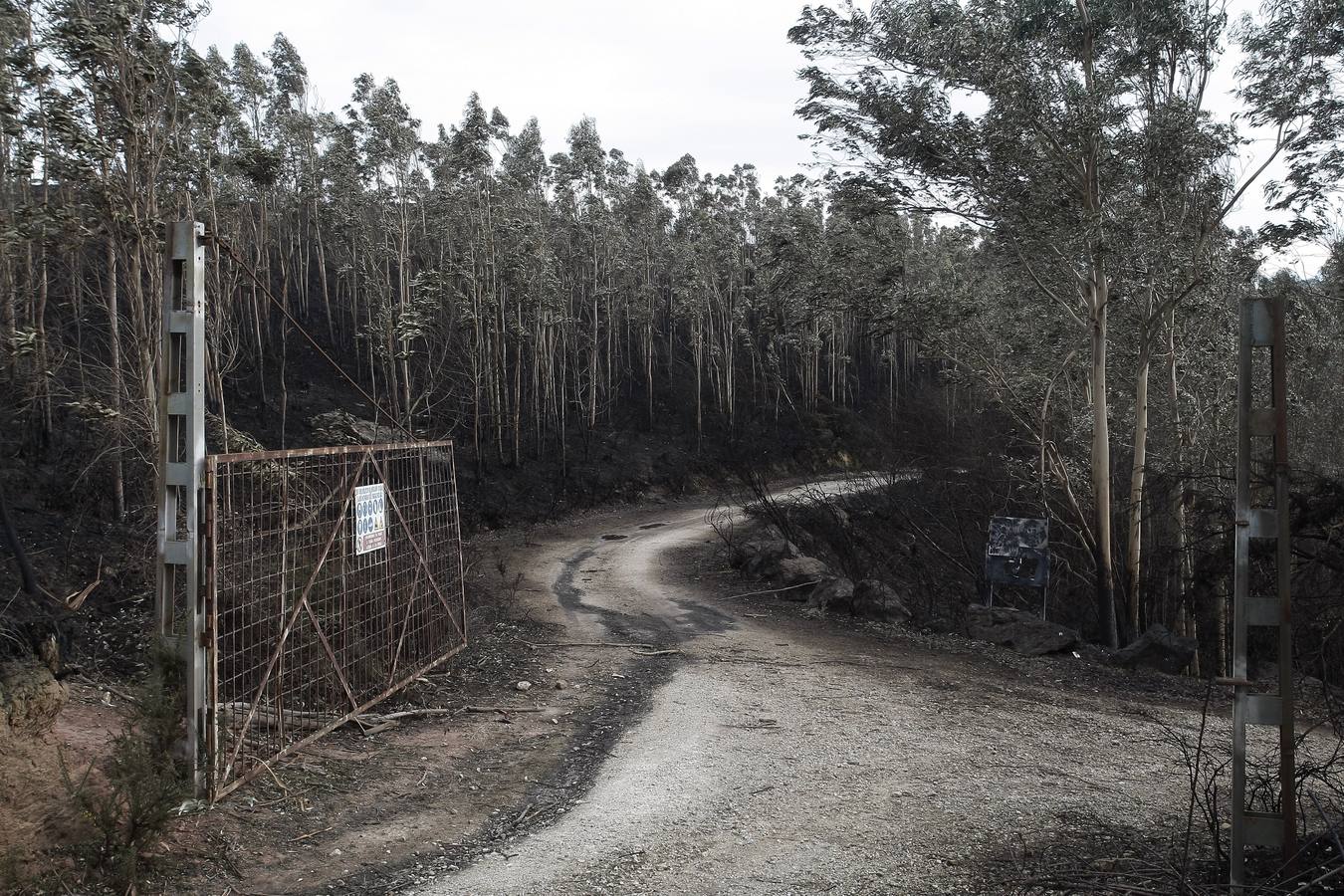 Monte Dobra en Viérnoles