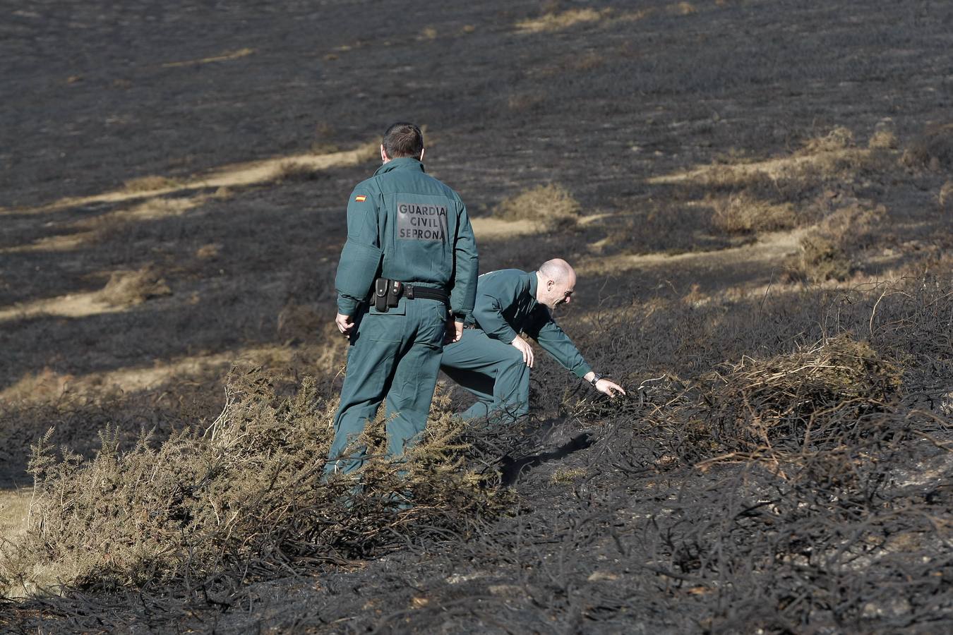 Agentes del Seprona de la Guardia Civil investigan en una ladera quemada en el monte Río Lamiña en Cabuérniga