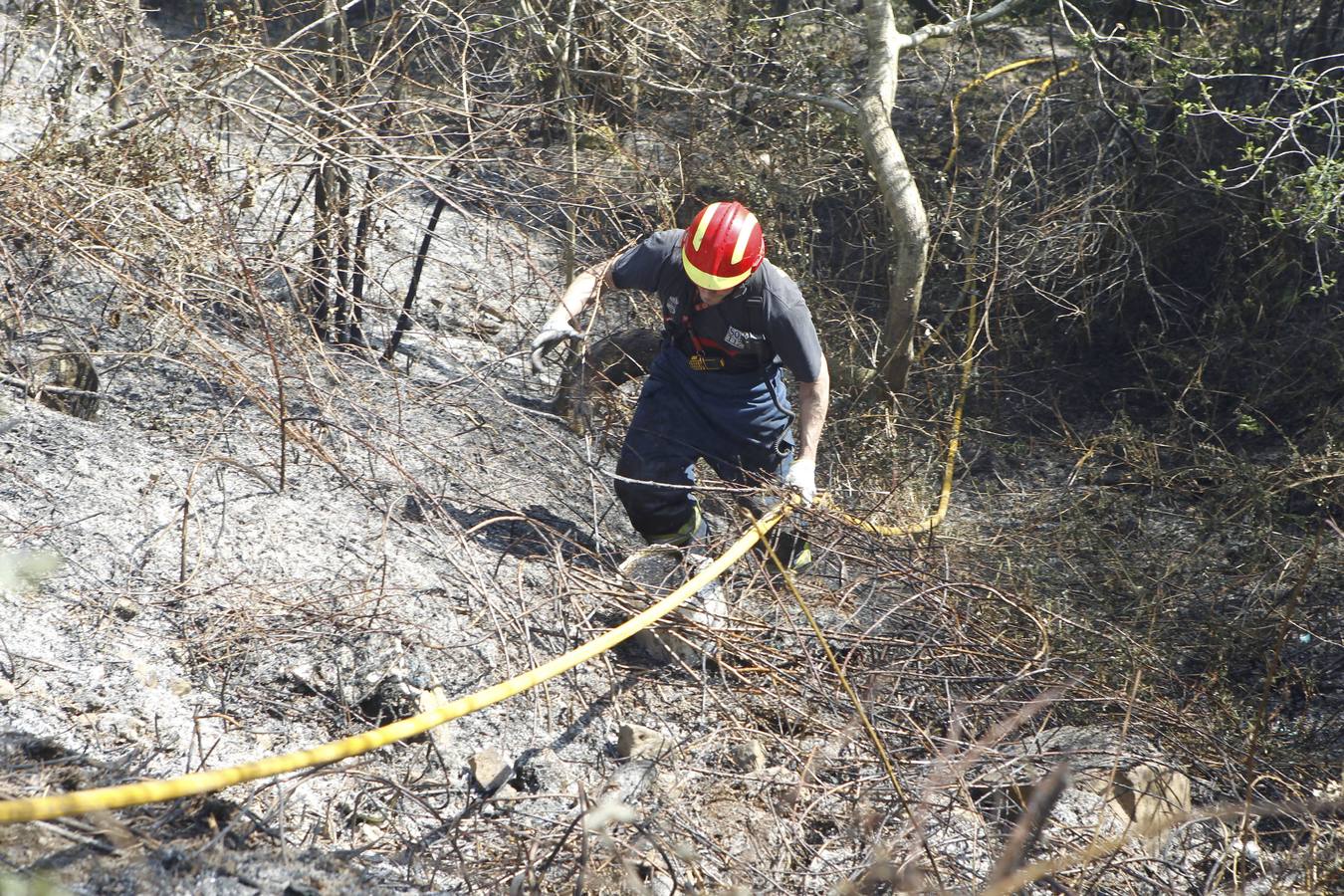 Incendio forestal en Aloños