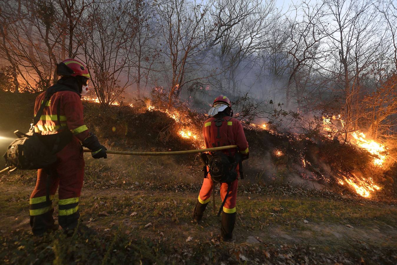 Incendio forestal en Bárcena Mayor
