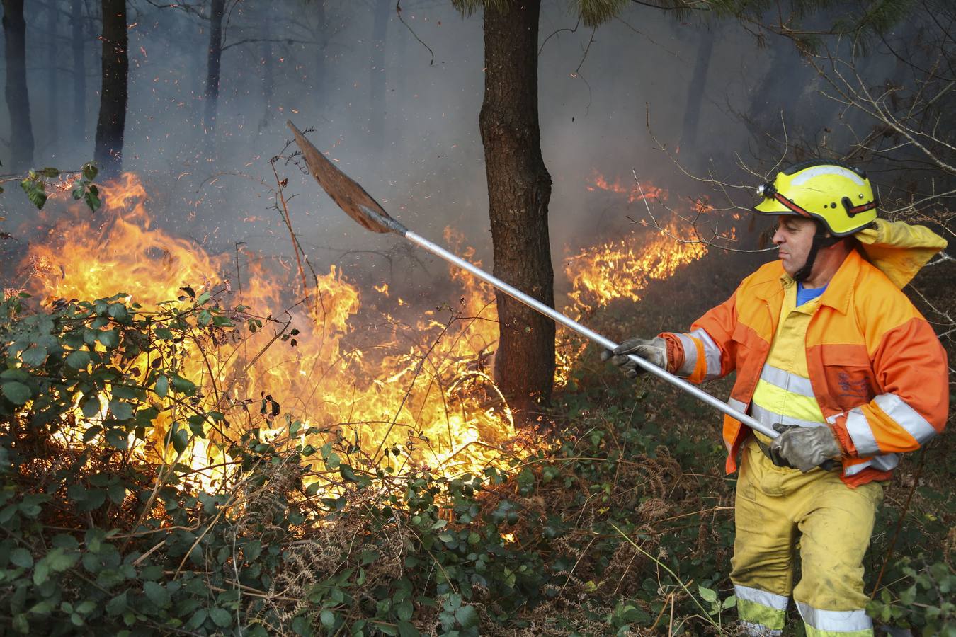 Incendio forestal en Bejoris