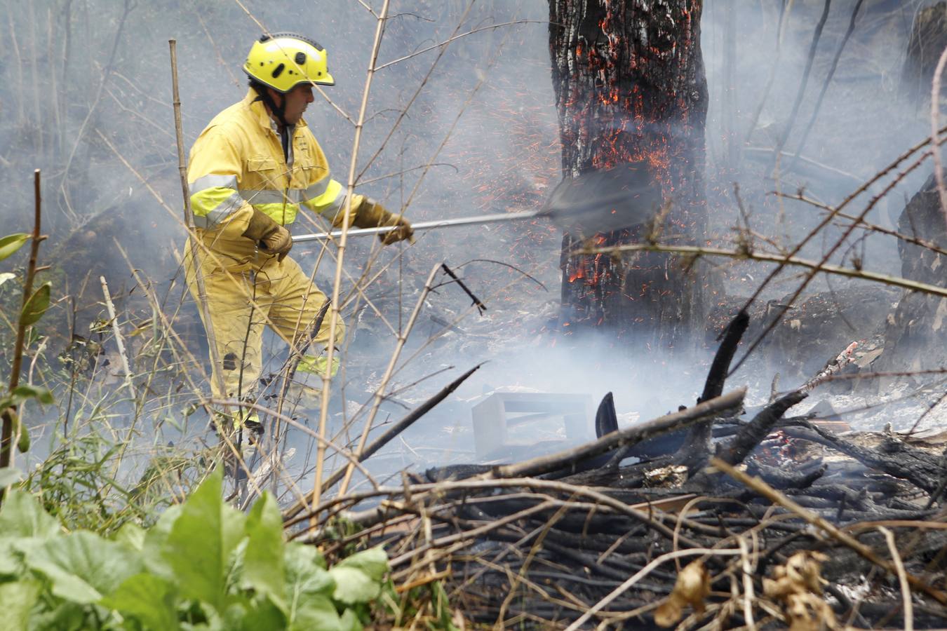 Incendio forestal en La Cavada.