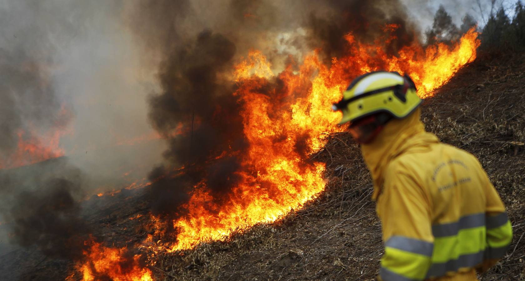 Incendio forestal en Novales
