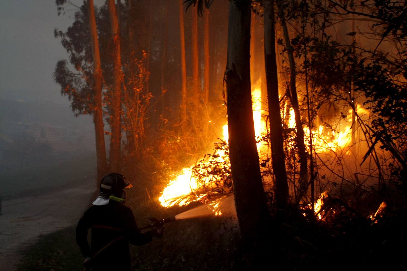 Incendio forestal en Viérnoles