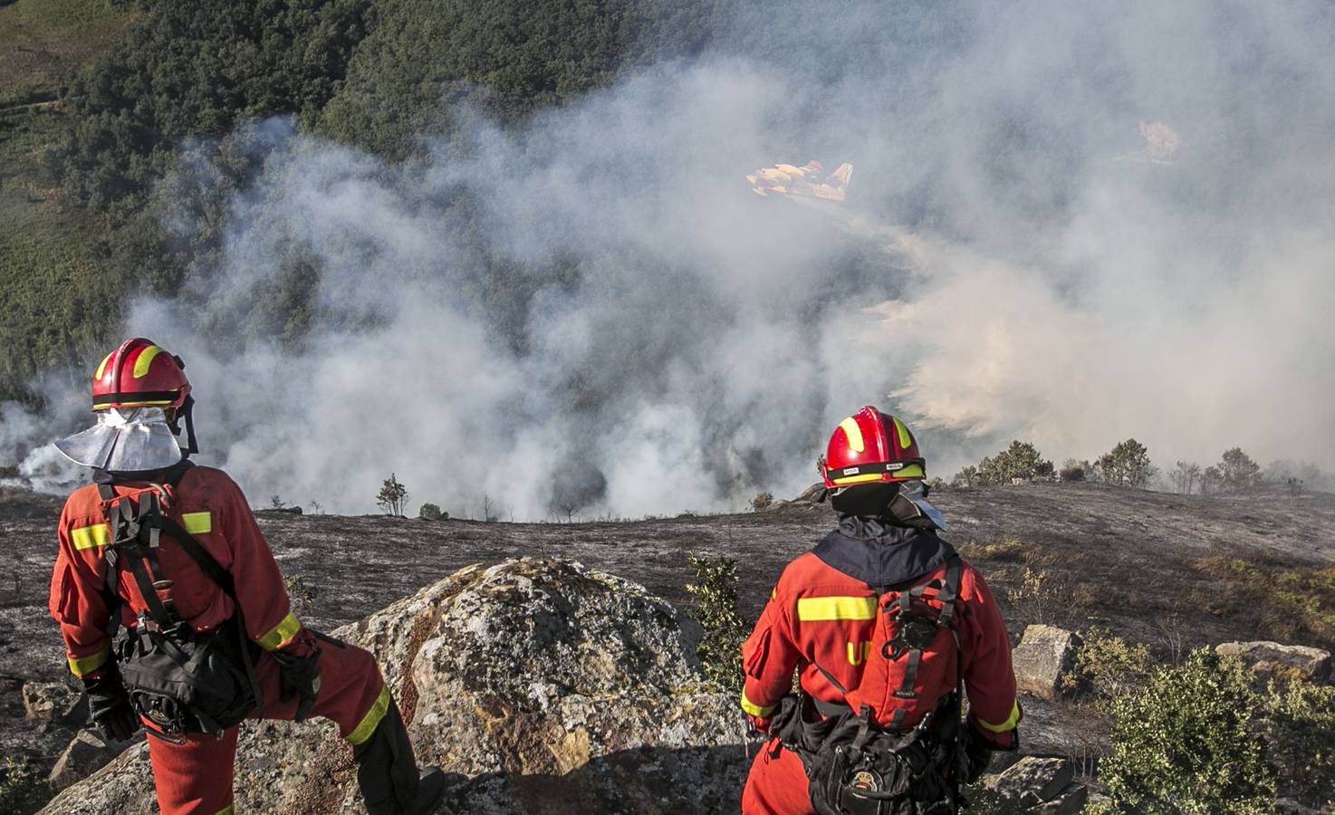 Incendio forestal quema 500 hectáreas en Ruanales, Rucandio y Cejancas.