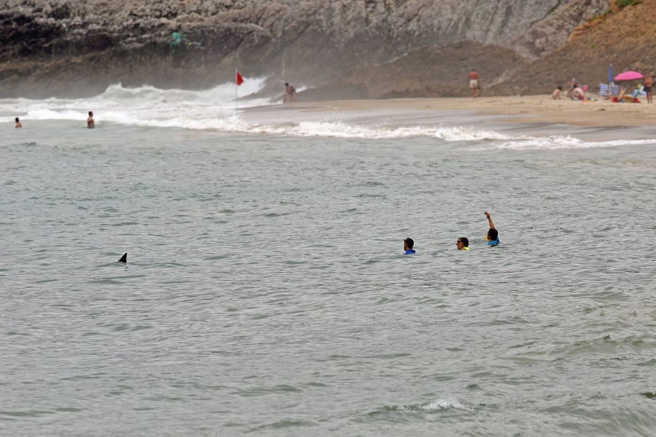 Aparece un delfín en la playa de Comillas