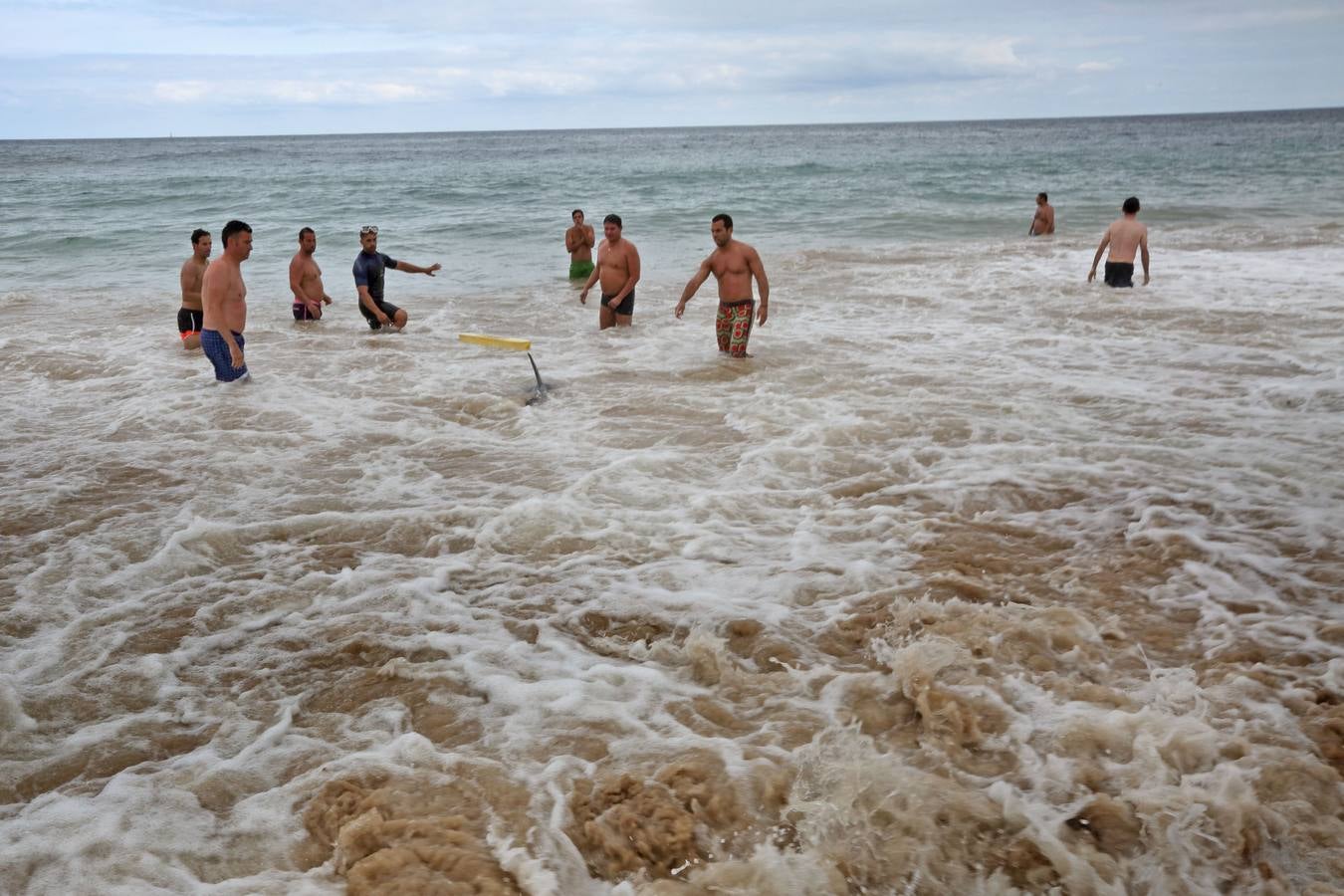Aparece un delfín en la playa de Comillas