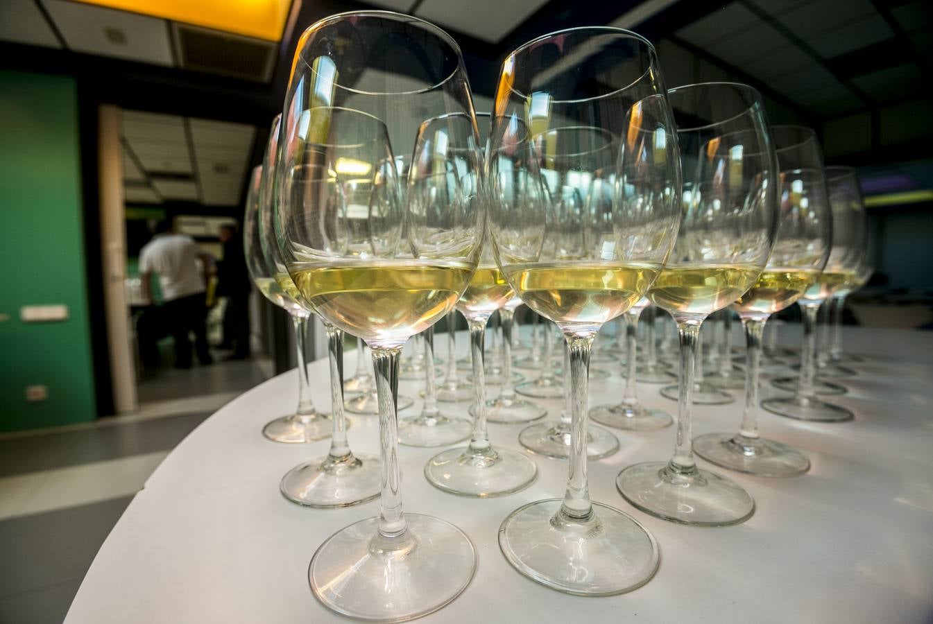 Cata de los mejores vinos