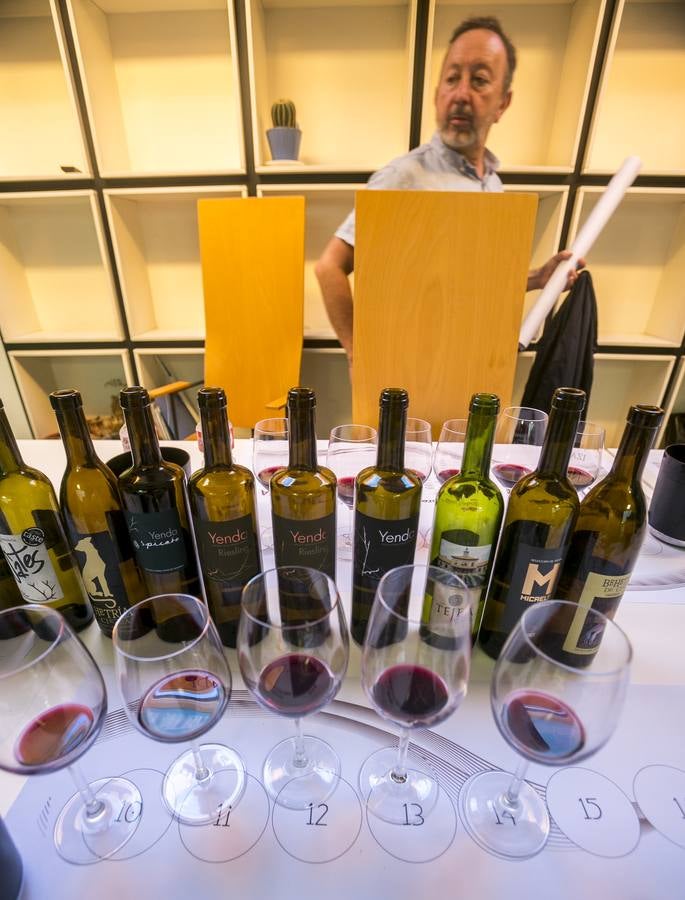 Cata de los mejores vinos