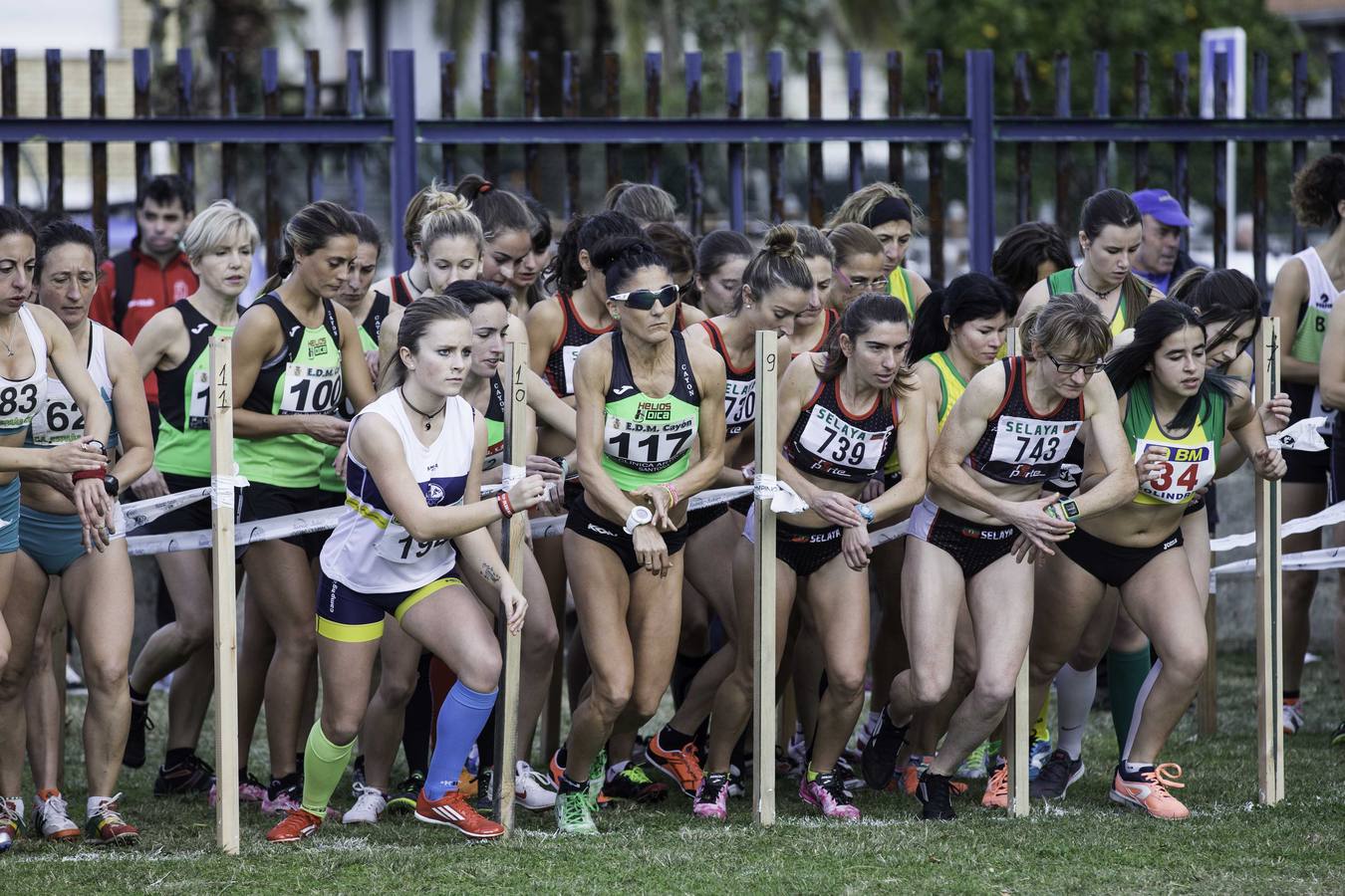 Regional de cross