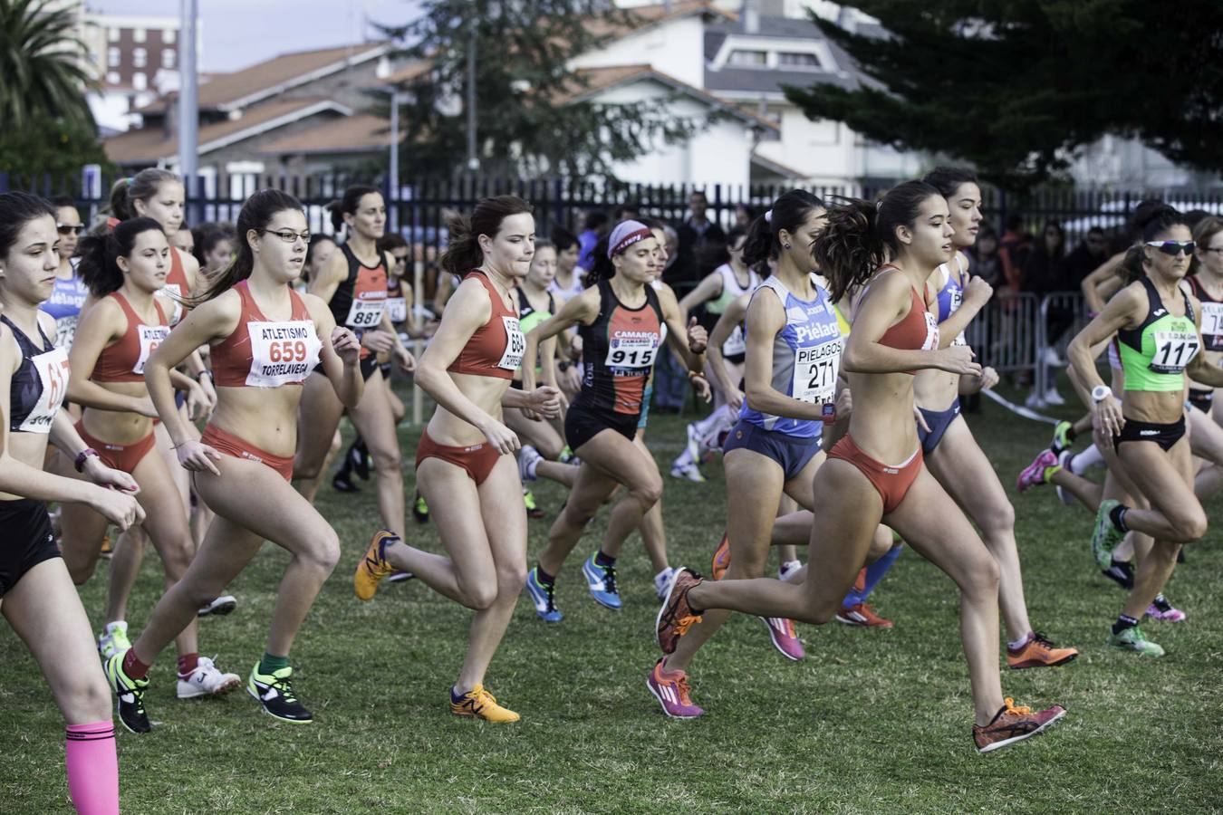 Regional de cross