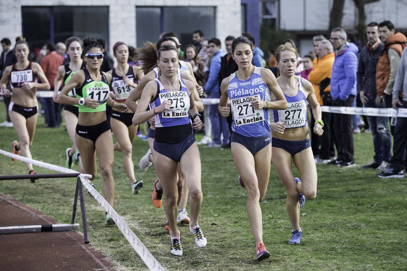 Regional de cross
