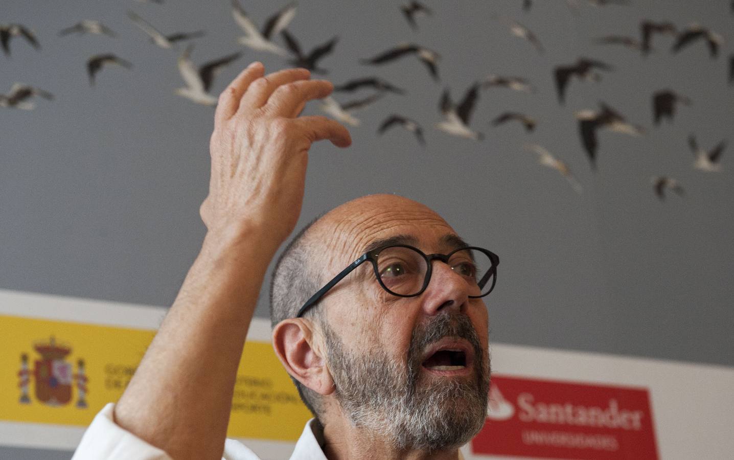 Las páginas de Pablo Hojas