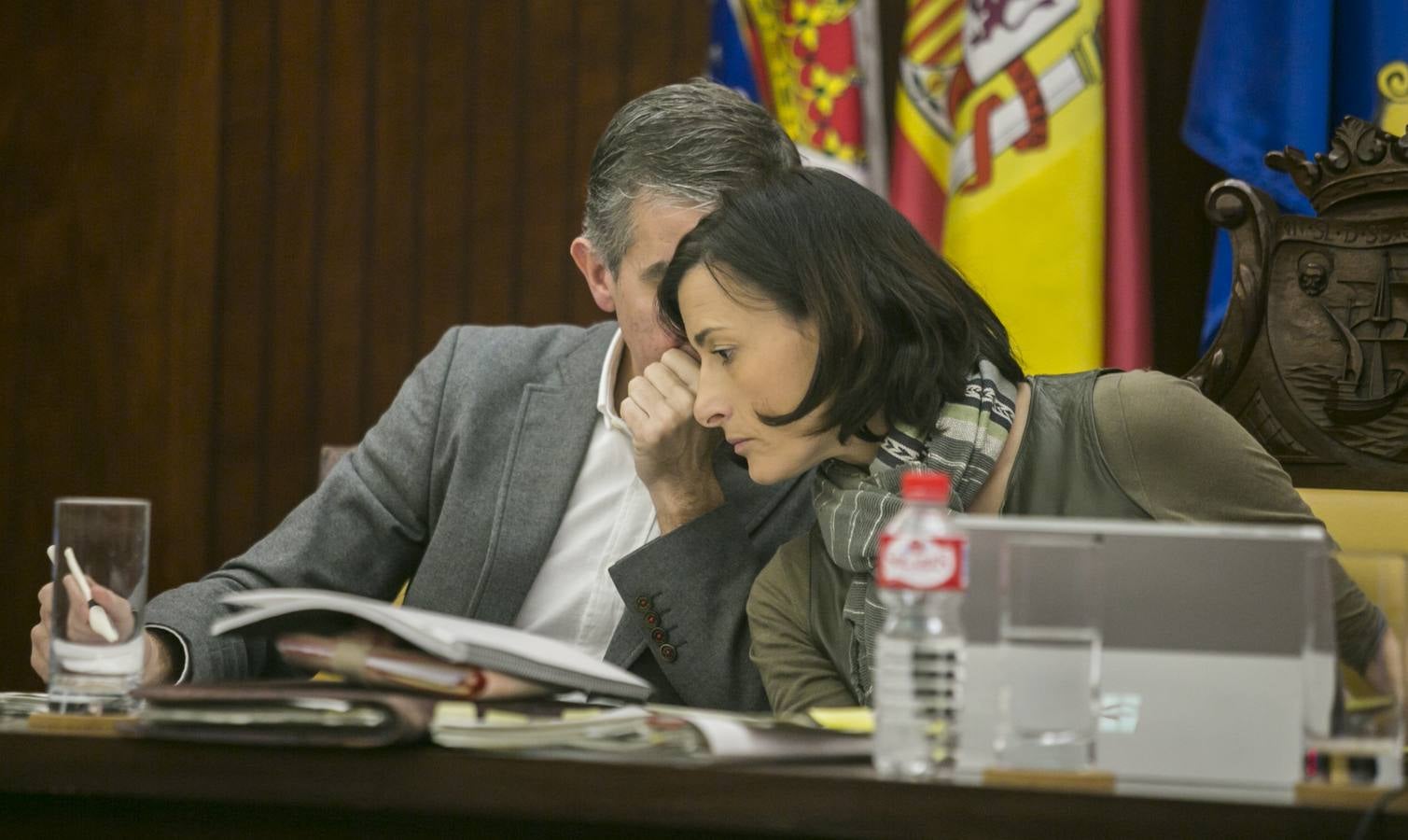 Pleno en Santander