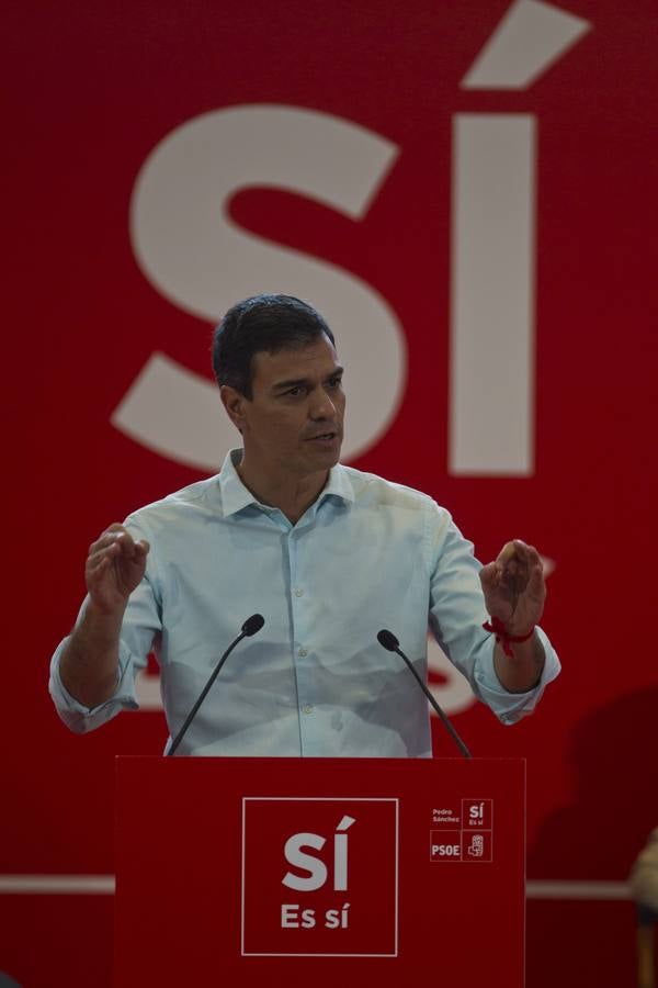 Mitin del PSOE con Pedro Sánchez, en el Paraninfo de la UC