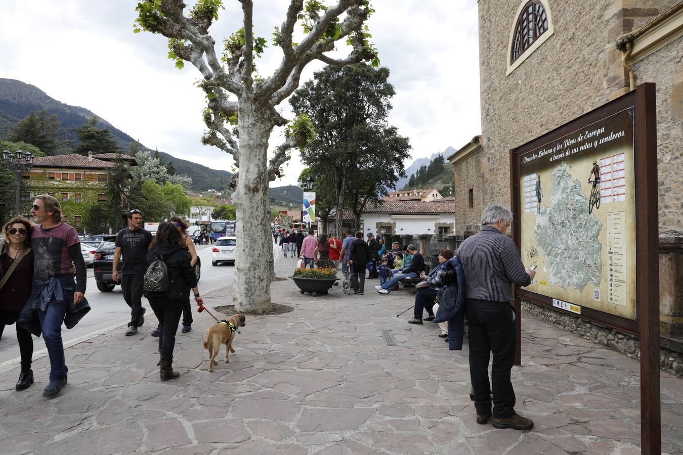 Ambiente de lujo