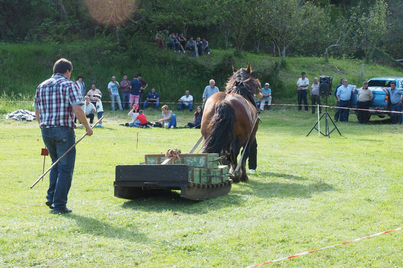 Concursos de ganado por San Isidro