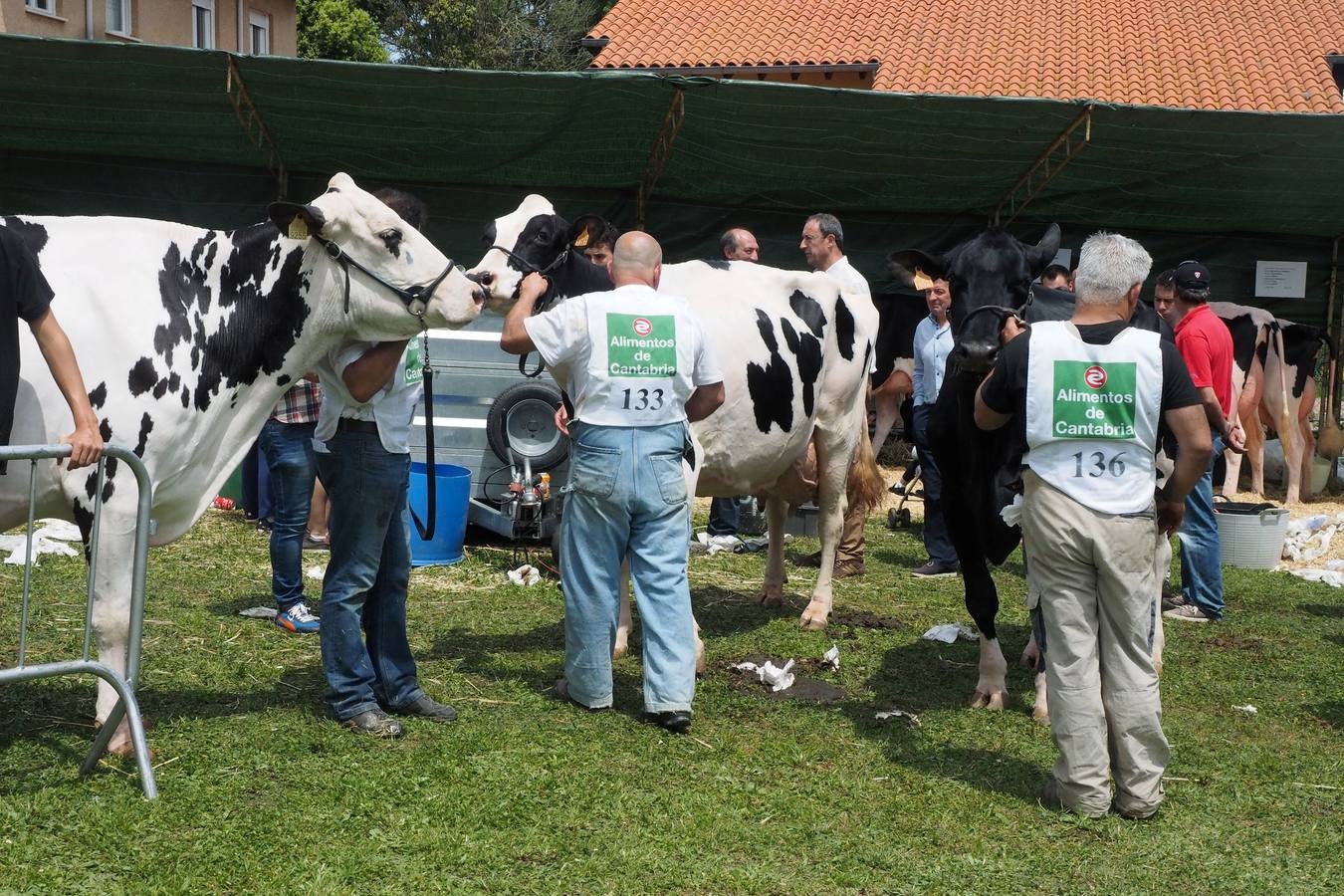 Concursos de ganado por San Isidro