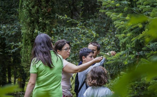 Un grupo de visitantes hace una parada junto a uno de los árboles y toca sus ramaas mientras atiende las explicaciones de la guía Arboreto