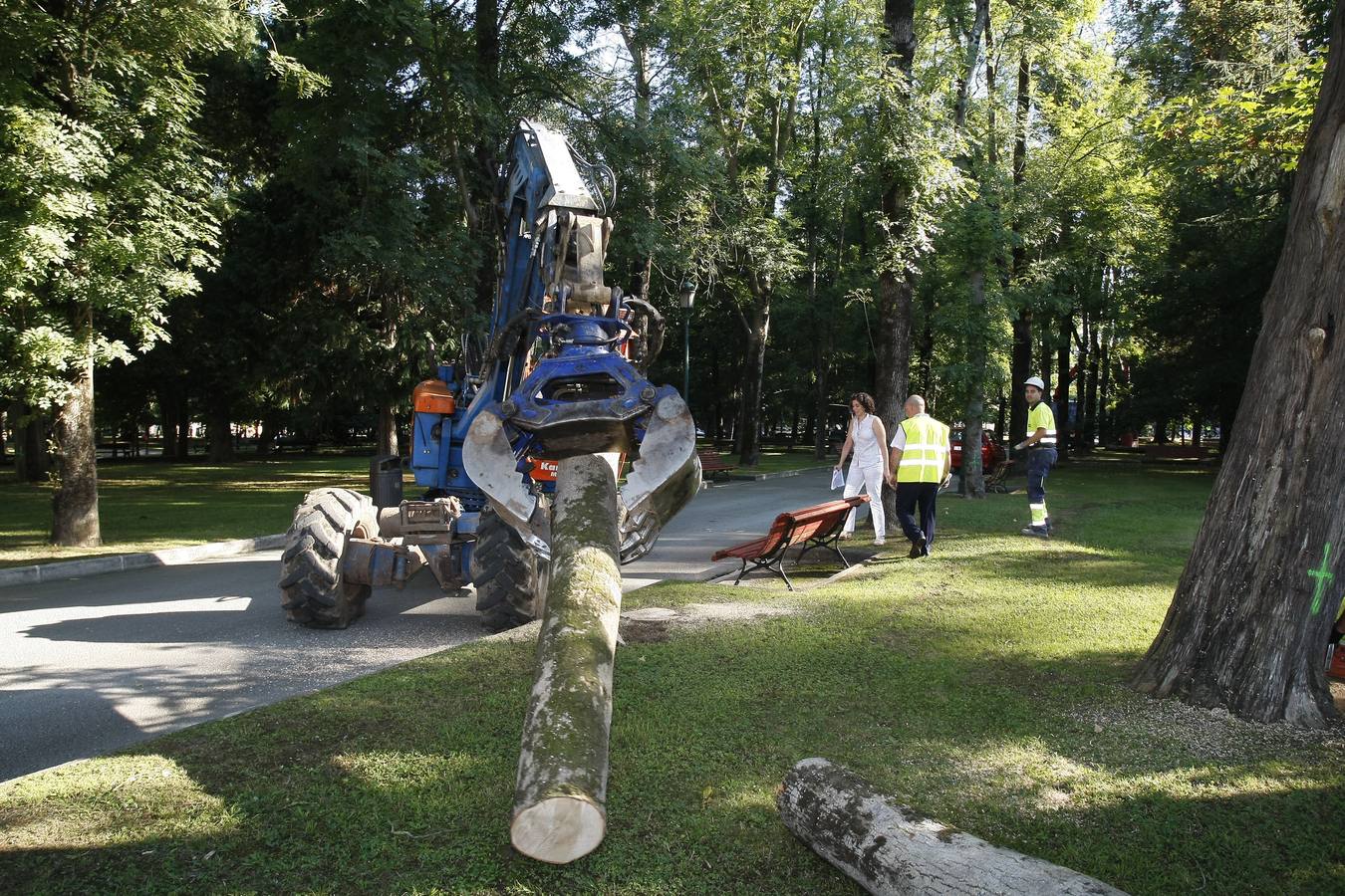 El Ayuntamiento de Torrelavega ha comenzado hoy a retirar del Parque Manuel Barquín los alrededor de 40 árboles muertos o en muy mal estado según el estudio encargado recientemente por la Concejalía de Medio Ambiente.