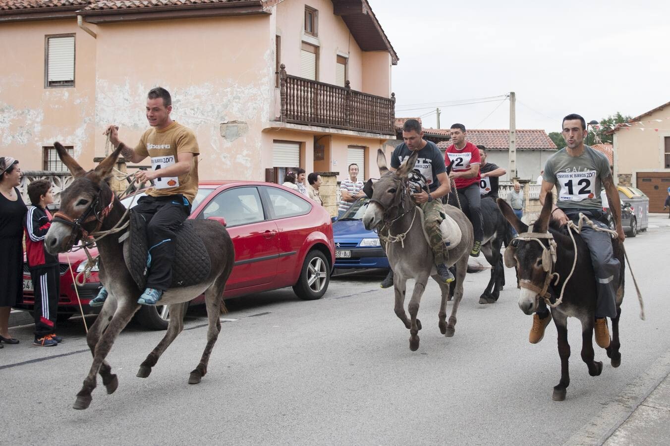 Doce burros compitieron en la tradicional carrera taniega